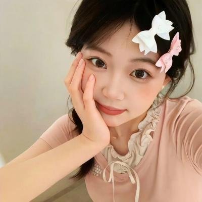 《虚空北境》封面